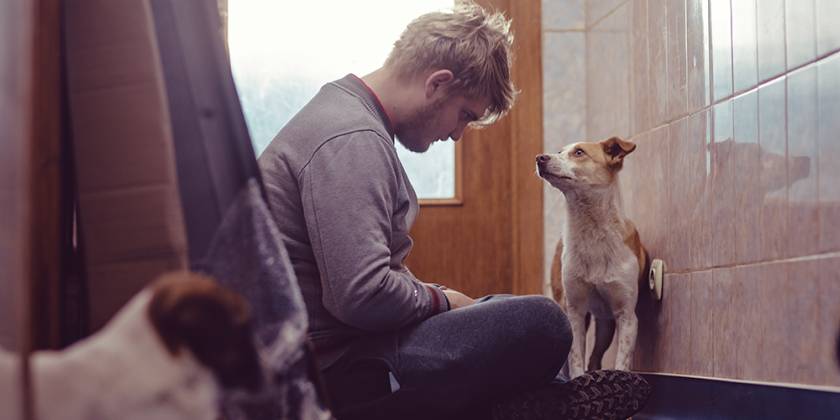 Man sitting on floor with two dogs
